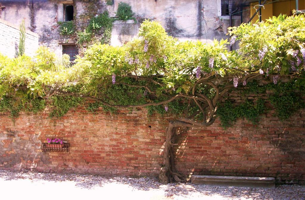 Relais Alcova Del Doge Ξενοδοχείο Mira Εξωτερικό φωτογραφία